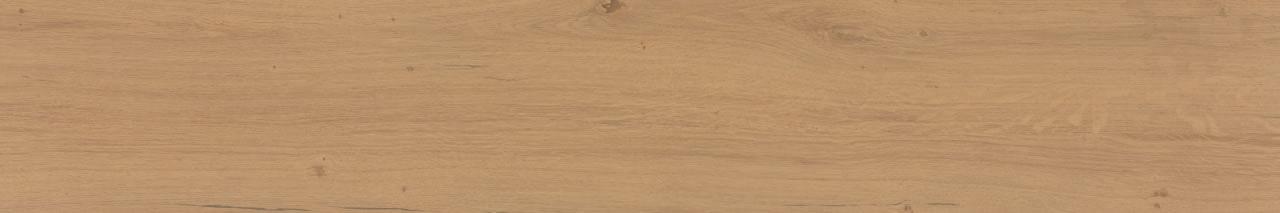 Bali Camel AC