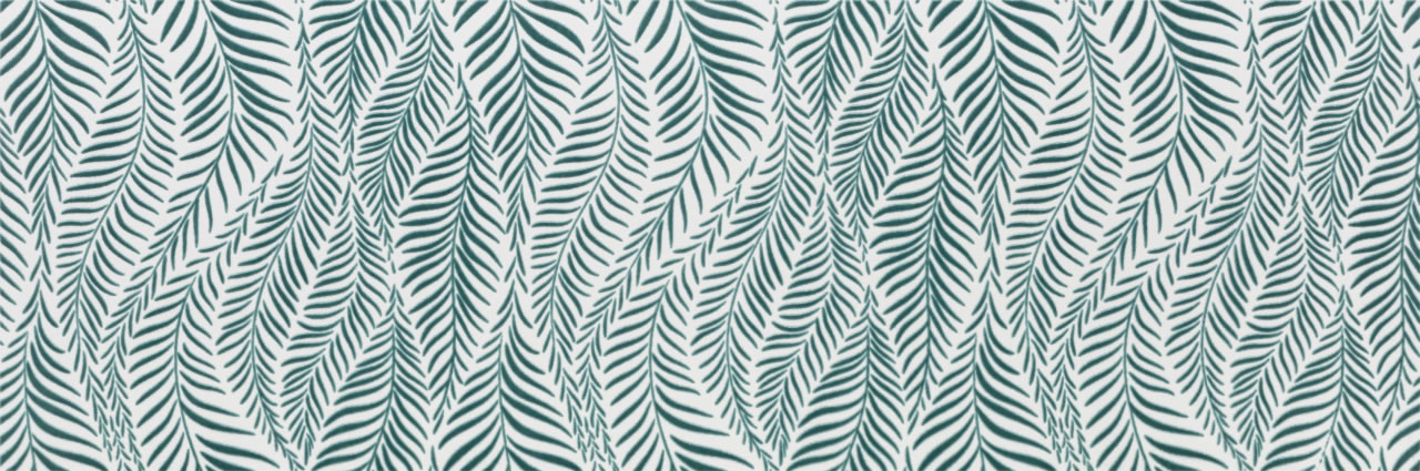 Kaya Agave AC