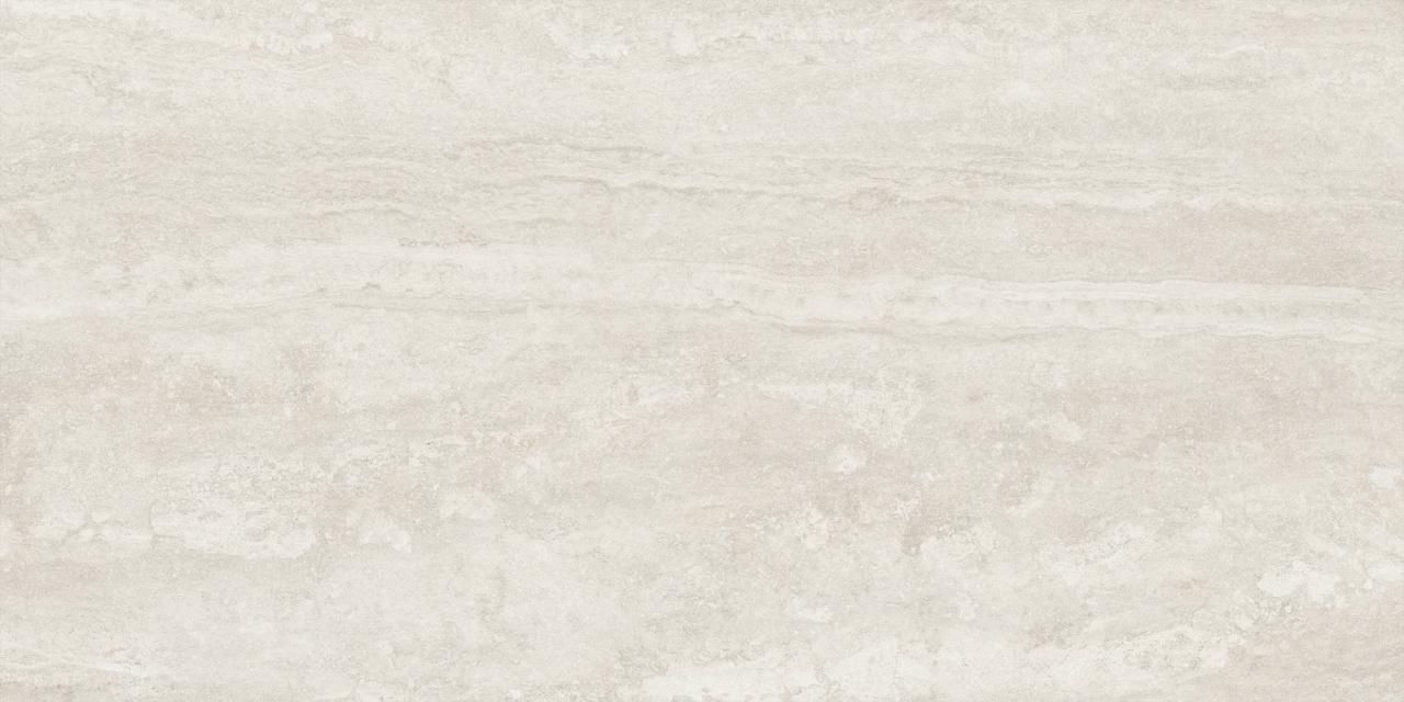 Palatino Vein Corda AC 3d