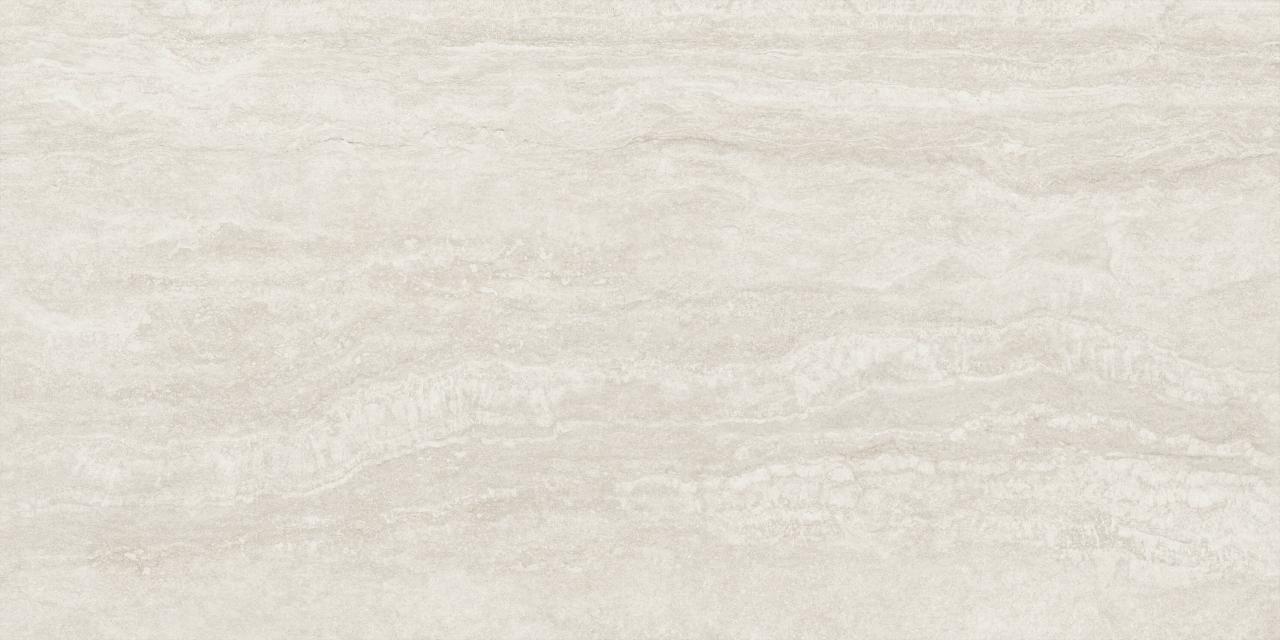 Palatino Vein Corda AC 3d