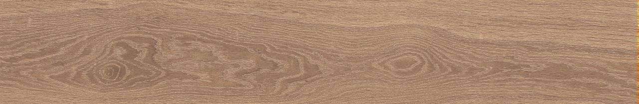 Rovere Avela EXT 3d