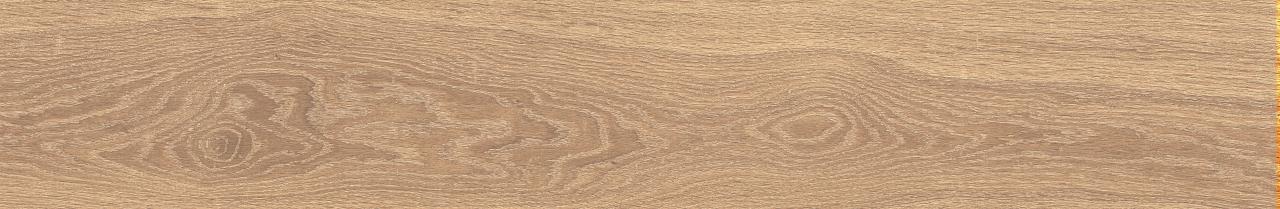 Rovere Noce AC 3d
