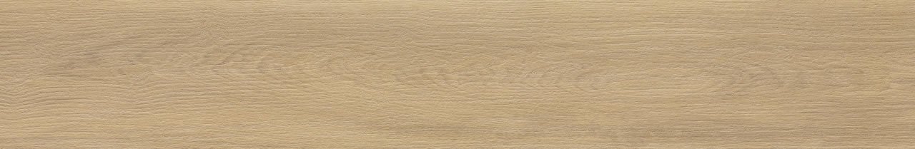 Savona Pinoli AC 3d 19,7x120