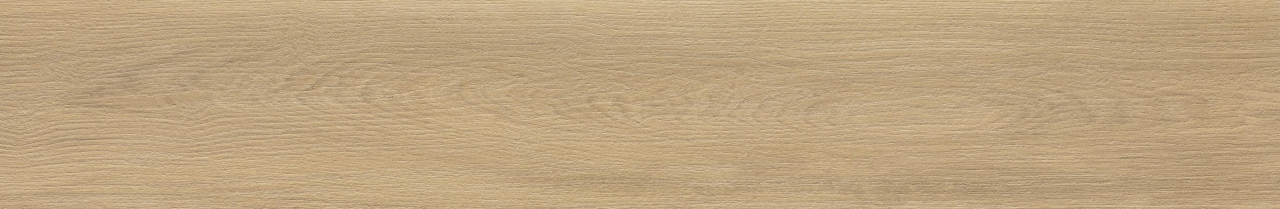 Savona Pinoli EXT 3d 19,7x120