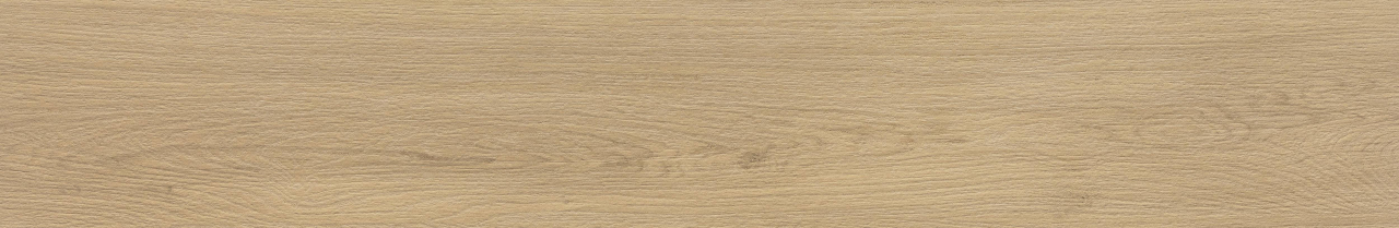Savona Pinoli EXT 3d