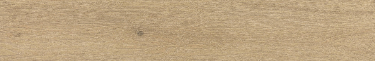 Savona Pinoli EXT 3d
