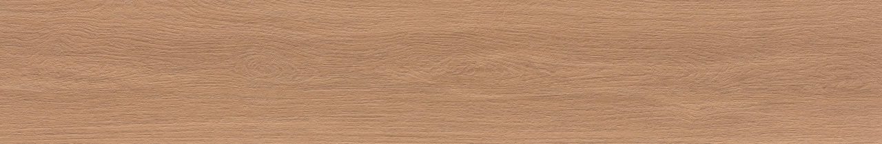 Savona Tauari AC 3d