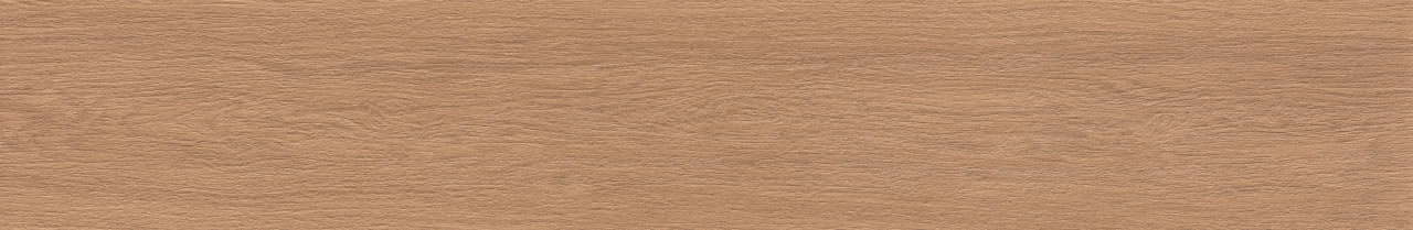 Savona Tauari AC 3d