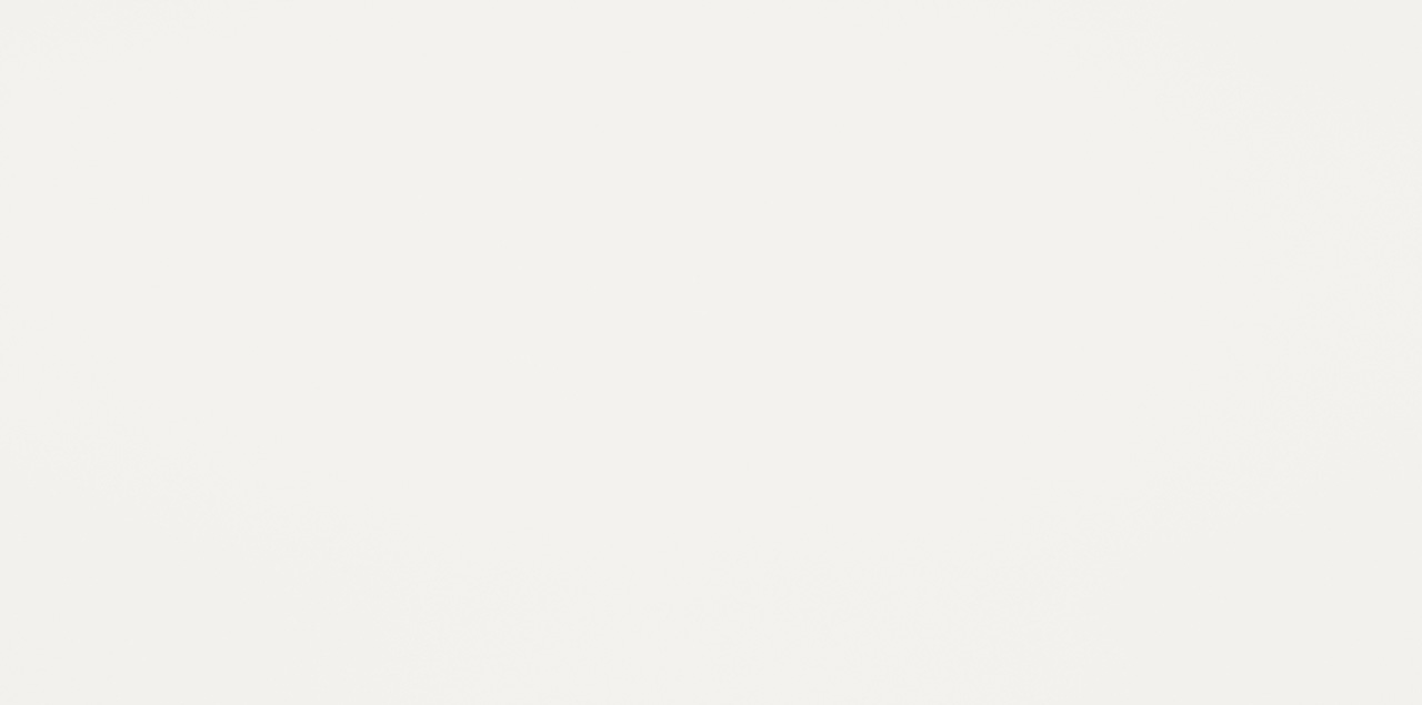 Stelar White NA 60x120