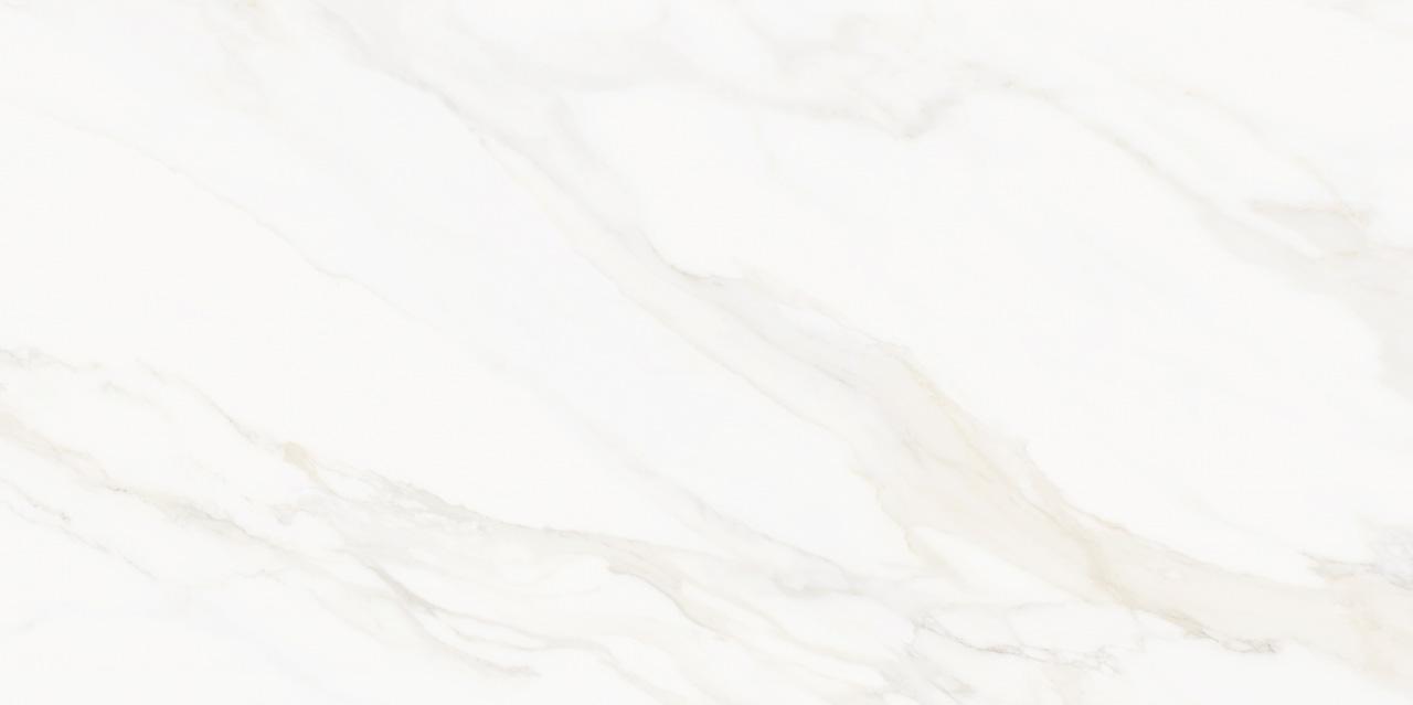 60x120